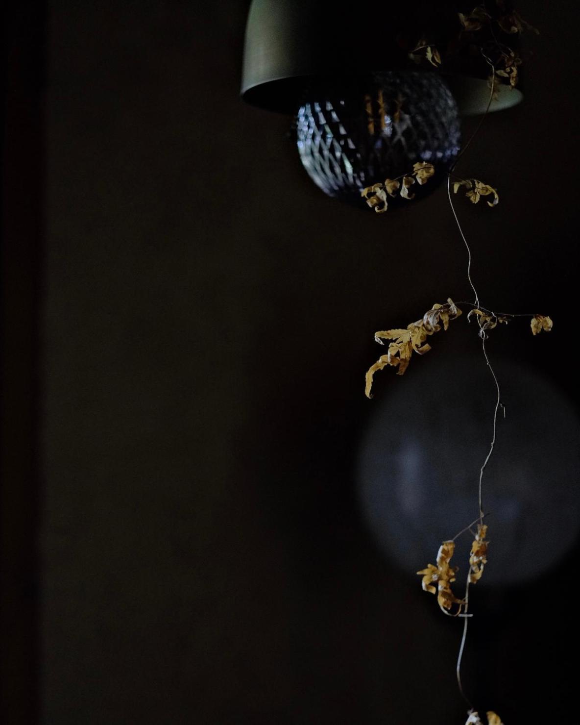 Dwell In Quemoy Homestay Jincheng Buitenkant foto