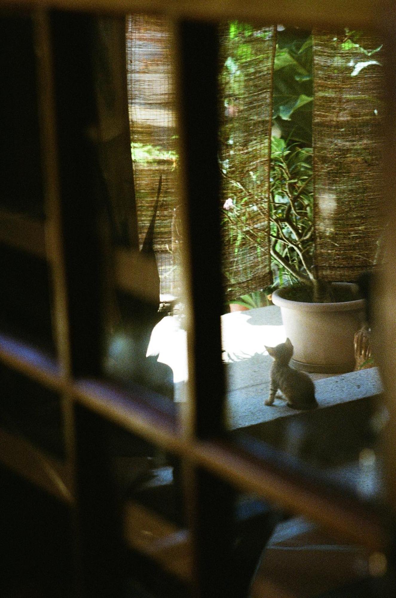 Dwell In Quemoy Homestay Jincheng Buitenkant foto